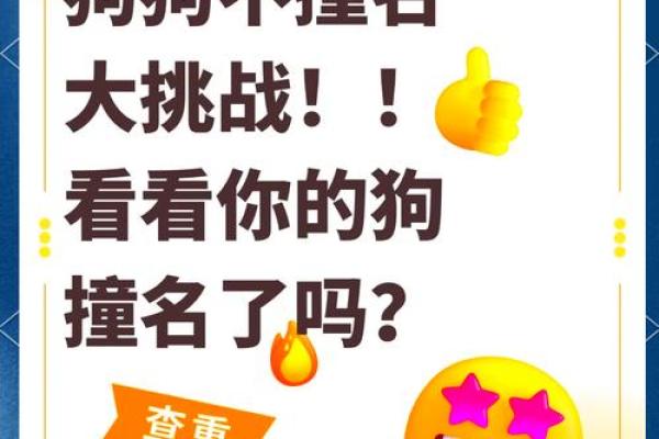给狗狗取名字？看这些创意灵感瞬间点燃你的想法