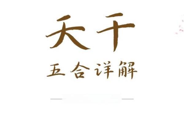 天干相合的奥秘解读：揭示五行合力的神奇力量