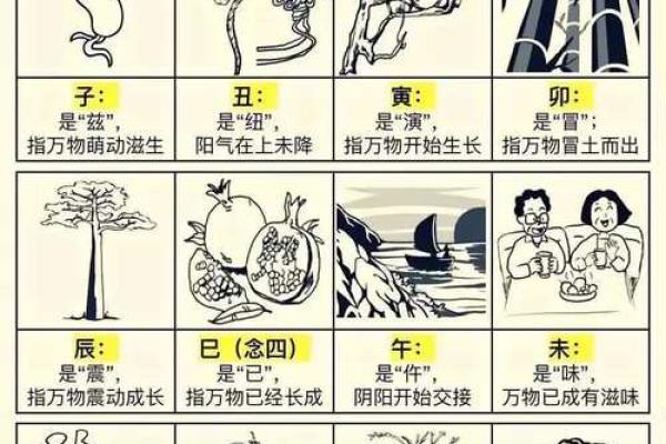 曰主天干的秘密：掌握命运的钥匙