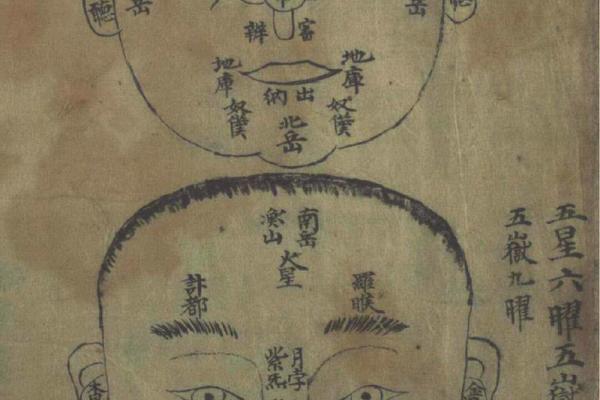 神秘痣相：麻衣屁股上的秘密符号