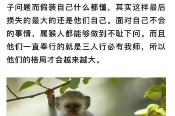 大揭秘：揭秘生肖中大的生肖之谜