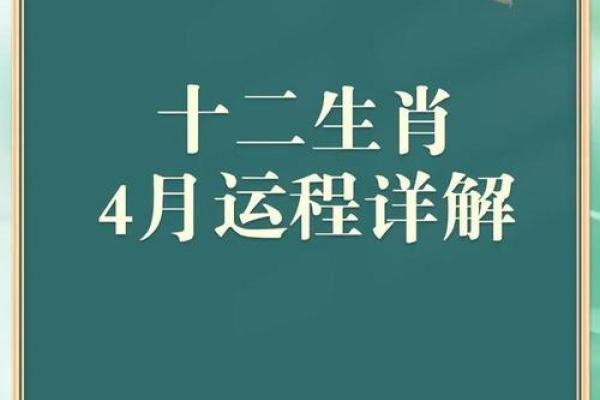 大揭秘：揭秘生肖中大的生肖之谜