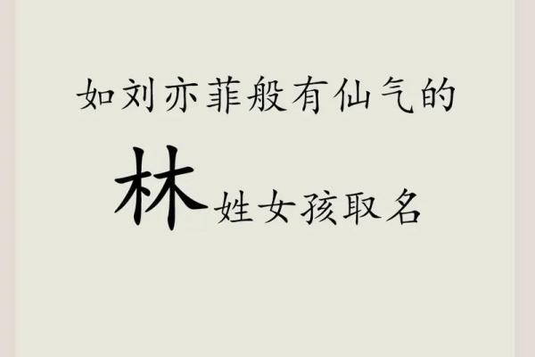 林姓男孩起名大全，精选有意义的名字推荐