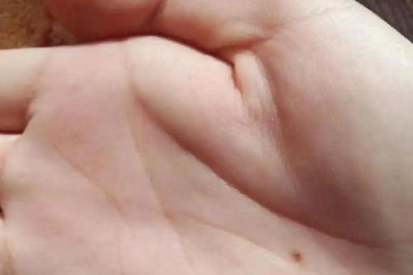 面相手相痣相揭秘：揭秘命运的秘密武器