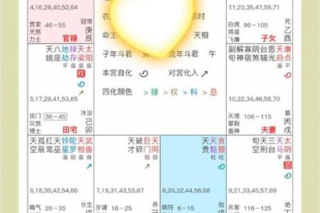 揭秘排命盘：探寻命运奥秘的神奇指南