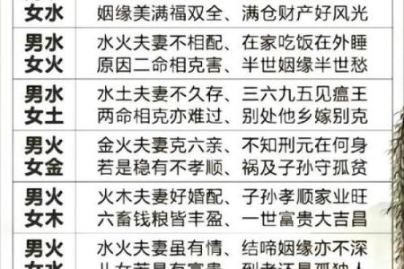 78年生肖运势揭秘：揭秘你的五行命理