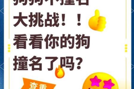 给狗狗取名字？看这些创意灵感瞬间点燃你的想法