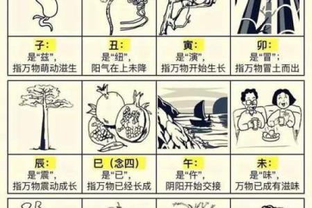 曰主天干的秘密：掌握命运的钥匙