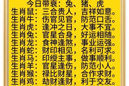 揭秘：弄属什么生肖，运势大揭秘