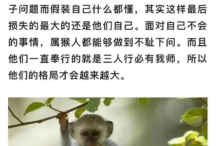 大揭秘：揭秘生肖中大的生肖之谜