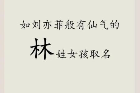 林姓男孩起名大全，精选有意义的名字推荐