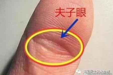 手相解码：揭秘眼纹暗示的惊人命运之谜