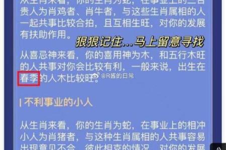 揭秘李元命理大师的精准预测，掌握未来命运的关键