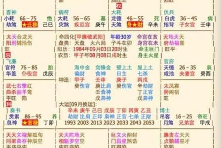 紫微排盘技巧揭秘：如何轻松入门掌握命运密码