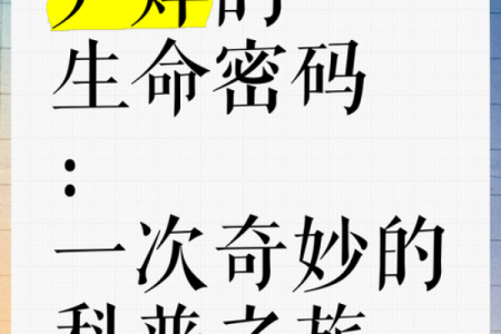 揭开寿命短的秘密：命理中的生死密码