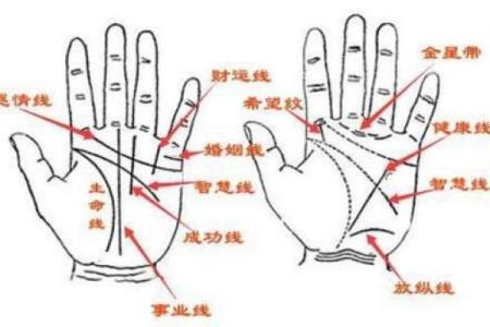 手相揭秘：男子手相手纹暗藏惊人命运秘密