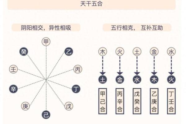 为什么合只能在天干之间发生？天干合详解