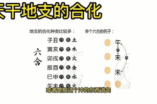 为什么合只能在天干之间发生？天干合详解