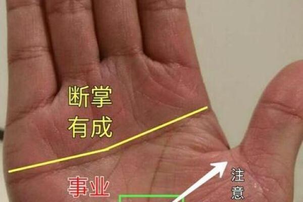 手相揭秘：掌控运势的神秘掌中官运线，揭秘你的富贵命格