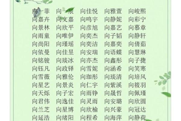 蒙姓宝宝起名秘籍：如何挑选寓意深远的名字
