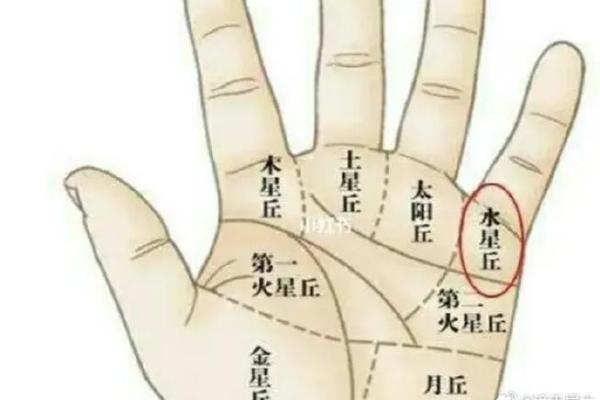 揭秘手相里的银河秘语：你手上的星河藏着什么运势秘密？