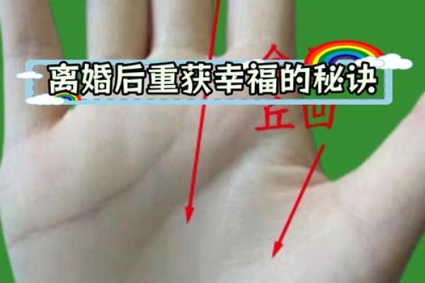 揭开马蓉命理的神秘面纱：她的二婚命运如何影响人生