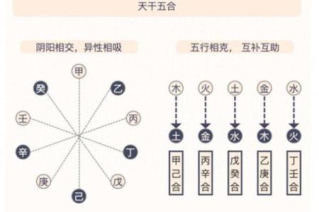 为什么合只能在天干之间发生？天干合详解