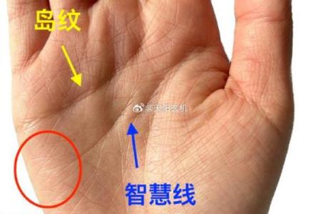 手相揭秘：掌控运势的神秘掌中官运线，揭秘你的富贵命格
