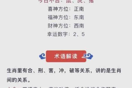金命，财运亨通，揭秘你的金光闪闪命运