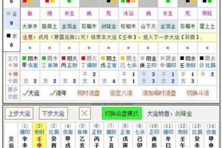 紫薇命盘解析：运势曲线排盘助你精准预测未来