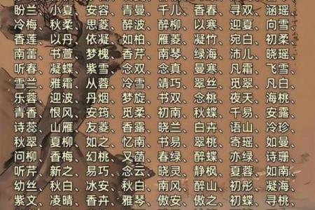 蒙姓宝宝起名秘籍：如何挑选寓意深远的名字