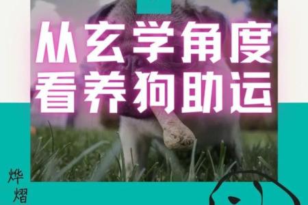 命理信息同步助你精准预测未来走向