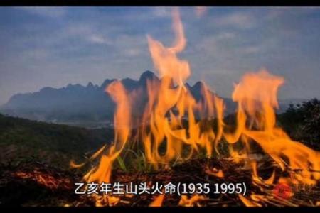山头火：揭秘木命火种背后的神秘力量