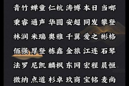 石家庄起名公司哪个好？一站式服务让你轻松取名