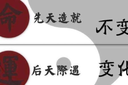 想要学业更顺利？命理分析帮你找到提升读书运的钥匙