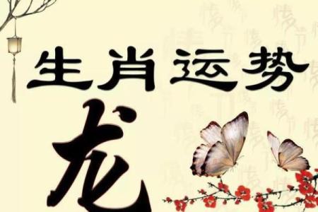 88年龙年水命，揭秘你的命运密码
