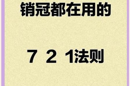 三权命：揭秘权力制衡的神秘法则