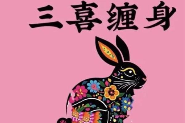 猪狗兔齐聚，财运亨通爆款来袭