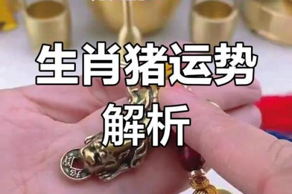 83年属猪的人：揭秘19年生的命运之谜，你命里藏着哪些惊喜？