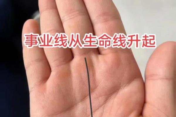 手相揭秘：事业线断裂暗示什么？揭秘人生起伏命运之谜