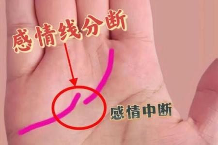 揭秘手相中的感情密码：你的爱情运势，一掌掌握