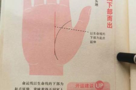 揭秘：手相预测生命，准确率高达99%