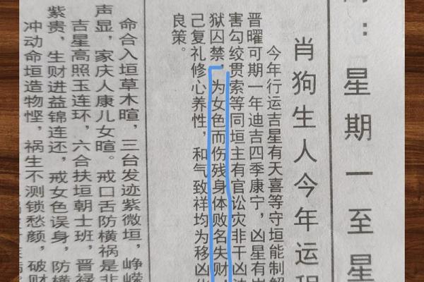 旺势来袭：狗年运势大揭秘