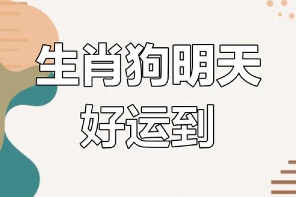 旺势来袭：狗年运势大揭秘
