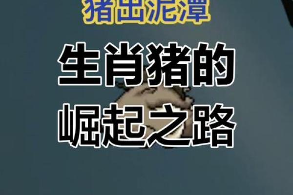 猪的天干与命运：这一点决定了你的人生走向