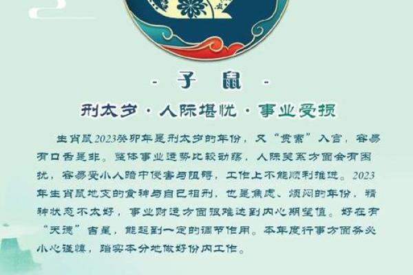 兔年运势揭秘：属兔人的五行命理大揭秘