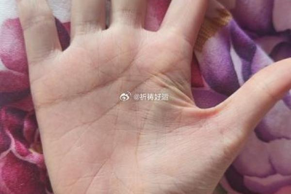 手相揭秘：握住旺夫命的神奇之手