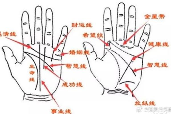 手相揭秘：掌中藏命运，这几条重要线预示着你的人生轨迹