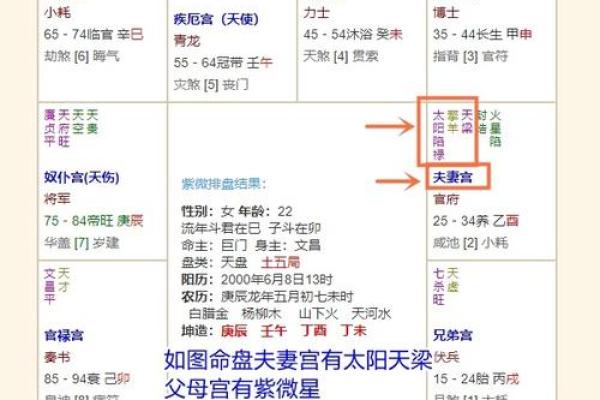 周易紫微排盘解析，精准预测未来人生走势