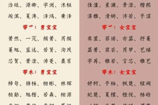 起名元：如何选择最适合的名字